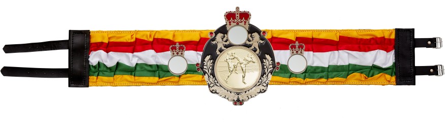 QUEENSBURY THAI BOXING SILK CHAMPIONSHIP BELT- QUEEN/B/TBOG/SILK - AVAILABLE IN 6 COLOURS